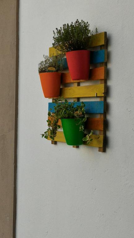 S. Thome Apts Ovar Bagian luar foto